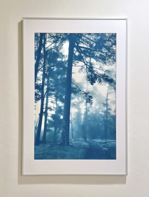 A Solitary Path: 30 x 20" Hand-Printed Cyanotype Photograph | Photography by Christine So