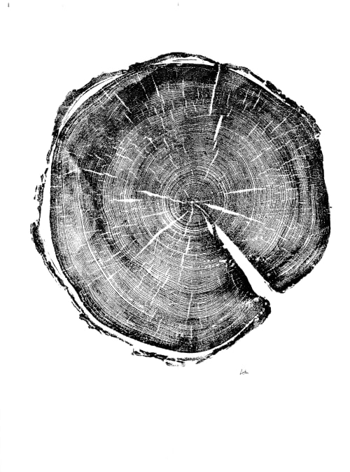 Uinta Mountains Tree Ring Print | Prints by Erik Linton