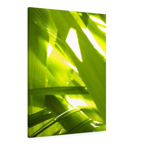 Sunkissed_3608  --  the life-giving energy of nature | Prints in Paintings by Petra Trimmel