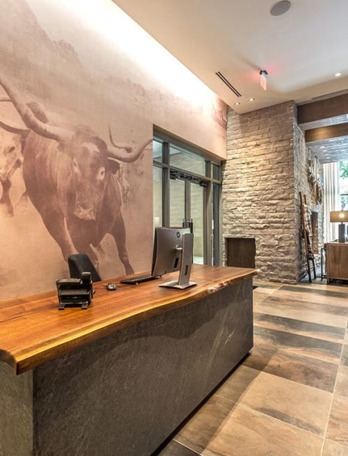 Longhorn Wallcovering | Murals by Organik Creative | Ascent Victory Park Apartments in Dallas