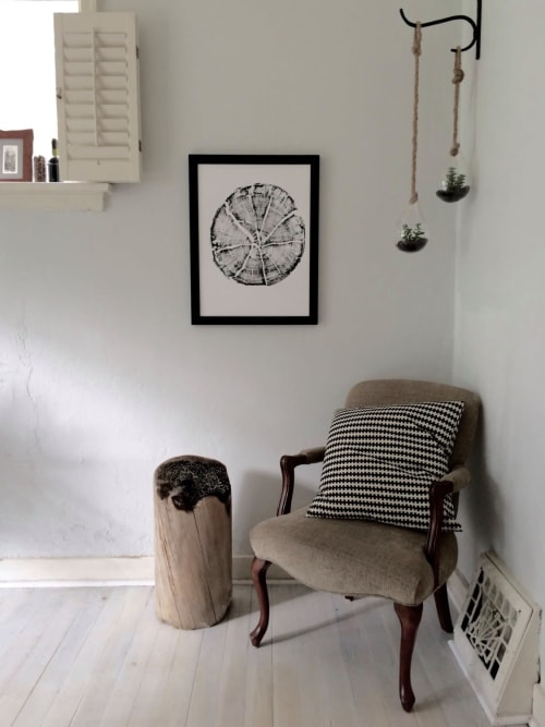 Glacier National Park, Split Log Tree Ring Prints | Prints by Erik Linton