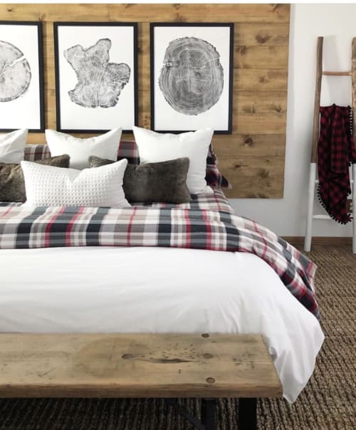 Set of 3 Large Tree Ring Prints | Prints by Erik Linton | Kate Chipinski's Home in Minneapolis