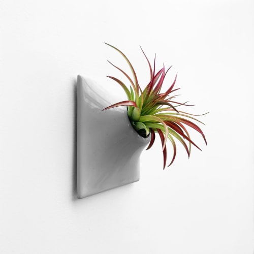 Node S Wall Planter, 6" Mid Century Modern Planter, Gray | Plants & Landscape by Pandemic Design Studio