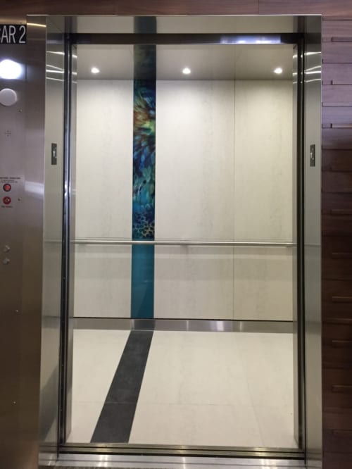 Elevator Cab Public Art | Paintings by Dana Montlack | Sorrento Pointe in San Diego