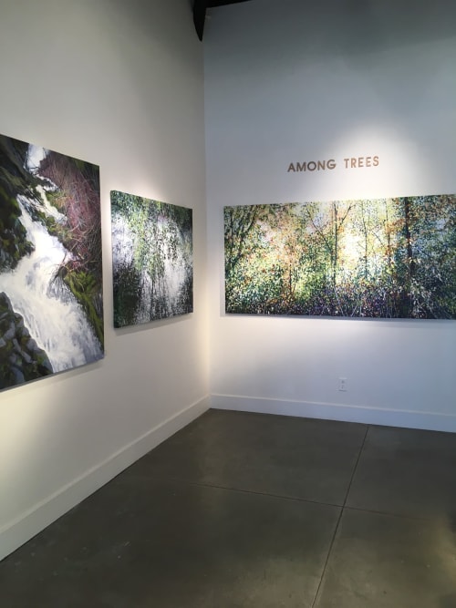 “Among Trees” Exhibit Installation Views | Paintings by Angelita Surmon | Waterstone Gallery in Portland