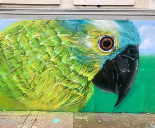 Parrot Mural | Street Murals by Max Ehrman (Eon75) | PRAIRIE in San Francisco