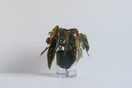 Kapi small green | Vases & Vessels by Krafla