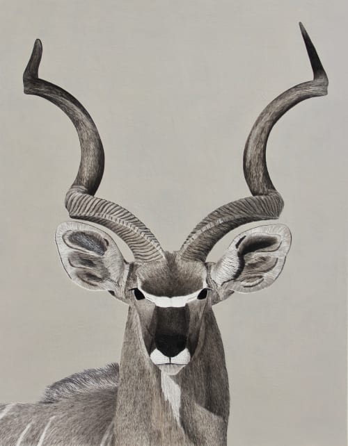 Greater Kudu - Woodland Antelope | Paintings by Hannah Jensen
