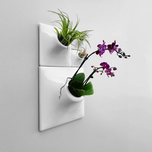 Modern Wall Planter Set of 4 White - Living Wall Art - Node | Plants & Landscape by Pandemic Design Studio