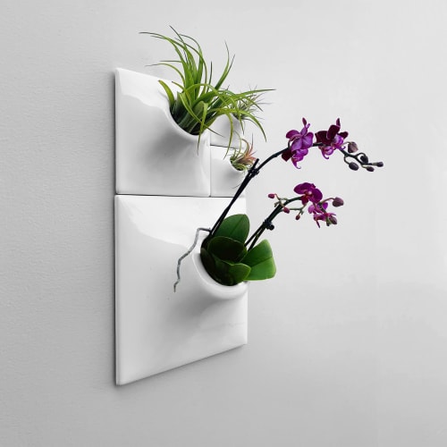 Modern Wall Planter Set of 4 White - Living Wall Art - Node | Plant Hanger in Plants & Landscape by Pandemic Design Studio