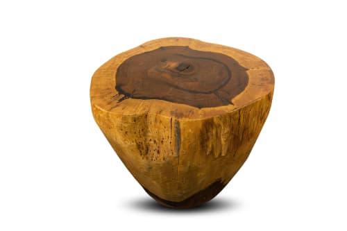 Hand Carved Live Edge Solid Wood Trunk Table ƒ37 | Side Table in Tables by Costantini Design