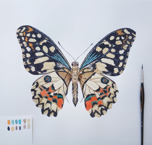 Papilio demoleus | Art Curation by Nussay watercolor