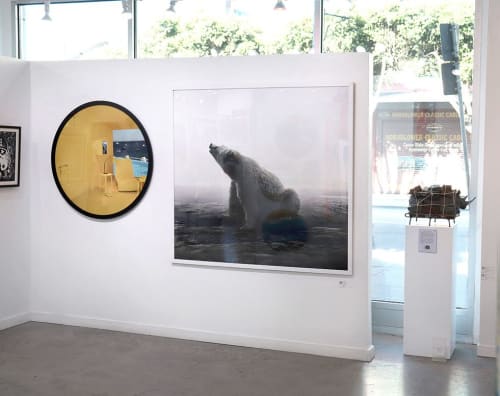 Bear with It | Photography by Alice Zilberberg | ZK Gallery in San Francisco