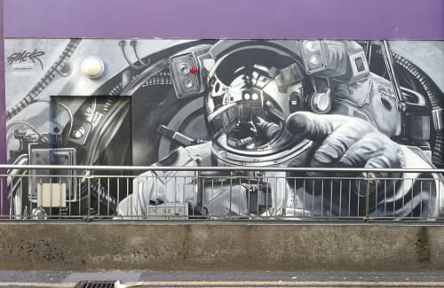 SPACER | Murals by Shane Sutton | Fitzwilton Hotel in Waterford