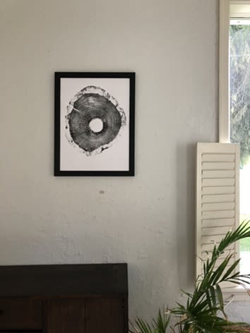 North Carolina Oak | Prints by Erik Linton