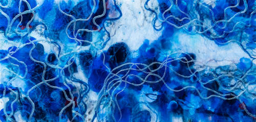 Christina Twomey Art + Design