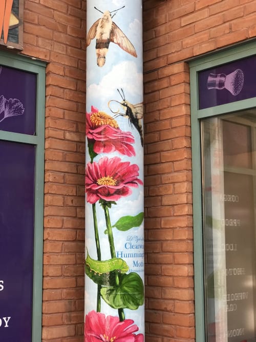 Life Cycle of the Hummingbird Moth | Street Murals by Murals By Marg | Carrot Common in Toronto