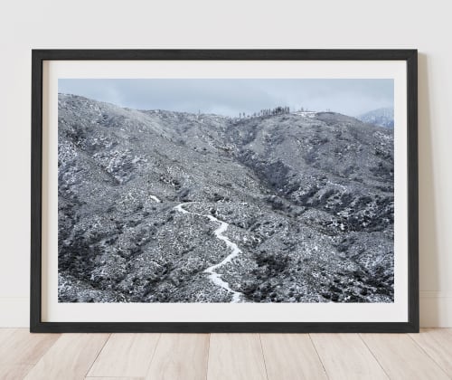 Silver Moccasin Winter 01 Photographic Print | Photography by Chris Fortuna | Photography Prints