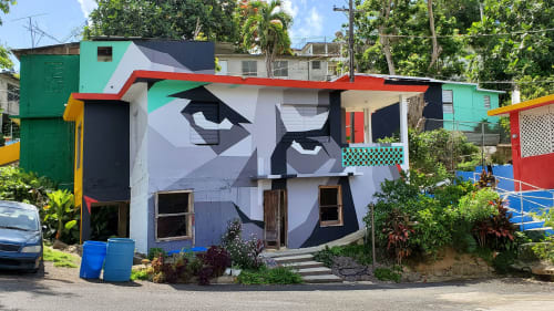 Miradas del Barrio | Murals by Spear Torres