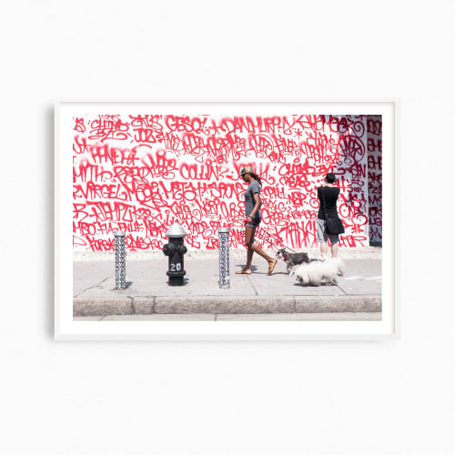 Colorful New York City street photograph, 'Lady Walks Dogs' | Photography by PappasBland