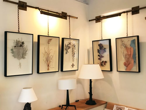 Plant 140 - Box Framed Botanical Cutout, Vintage Centerfold | Wall Hangings by Paolo Giardi | Collier Webb - Design Centre, Chelsea Harbour in London