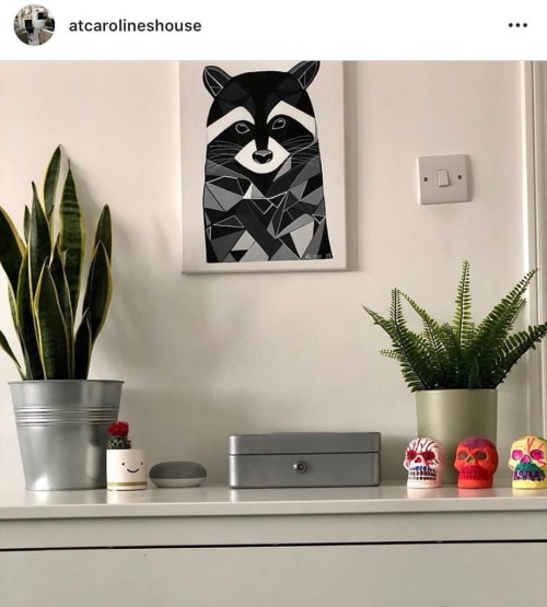 Commission - Racoon | Paintings by Geo-Wild Designs (Mahayla Clayton)