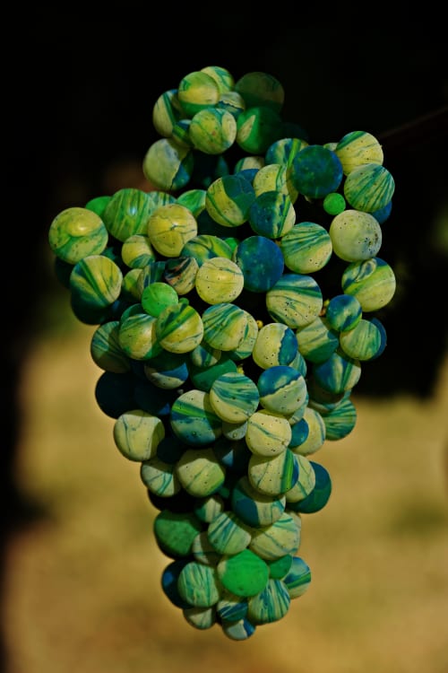 Matrix Juice | Prints by Kirby Plessas Fine Art | The Gallery at el Pedregal in Scottsdale