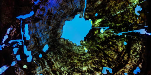 Scott Williams - Unique Originals