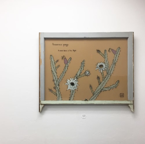 Peniocereus greggii | Paintings by Sonoran Witch Boy | Sonoran Witch Boy Studio in Tucson