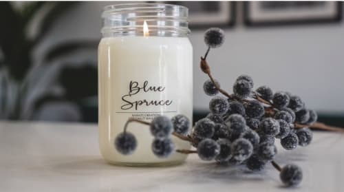Blue Spruce Natural Coconut Wax Candle | Lighting by Shanti Creations Candle Company