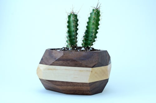 Hardwood Geometric Cactus Planter | Vases & Vessels by THE IRON ROOTS DESIGNS | Clients Residence - Portland, OR in Portland