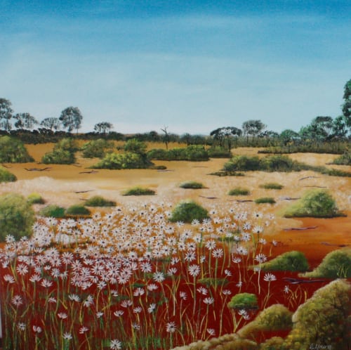 Daisies of the Outback | Paintings by Corinne Young's Art