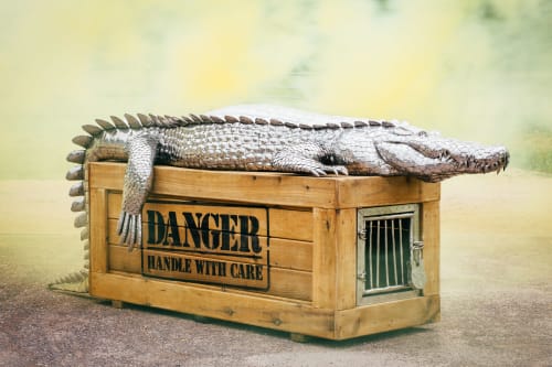 Crocodile on a Box | Sculptures by Michael Turner Studios