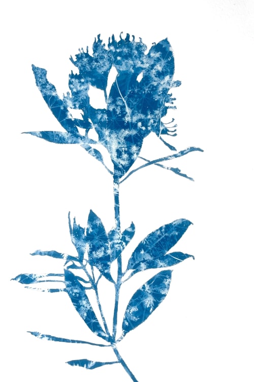 Rhododendron Branch III (18 x 12" cyanotype painting) | Watercolor Painting in Paintings by Christine So
