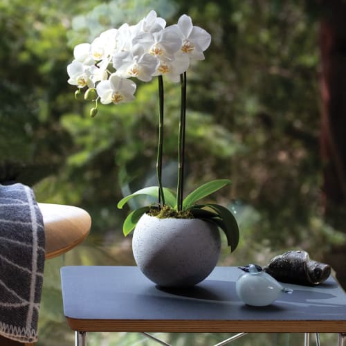Orbis Concrete Vessels - XL - Natural | Vases & Vessels by Household by KONZUK