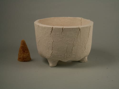 陶器植木鉢　COM WORK STUDIO【美品】 COM WORK STUDIO 信楽焼 植木鉢 | GREEN LUCK