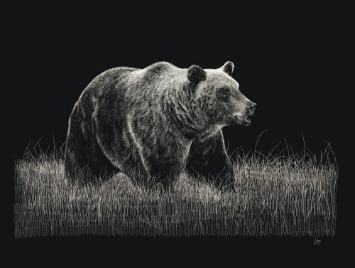 Grizzly Bear Etching | Art & Wall Decor by Erik Linton