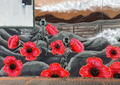 Anzac day mural 2021 | Murals by Manabell