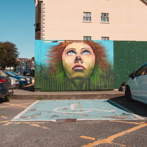 Waterford Walls Mural | Street Murals by Lisa Murphy | Top Oil in Waterford