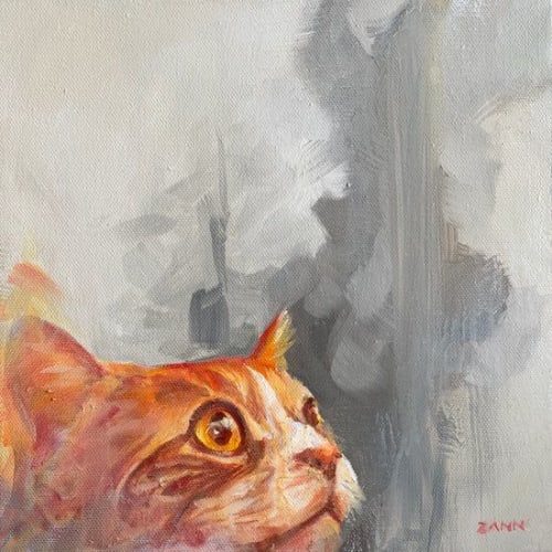 Red Pirate | Paintings by Paws By Zann Pet Portraits
