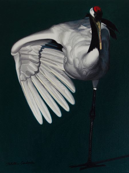 Japanese Red-Crowned Crane | Paintings by Nikita Coulombe