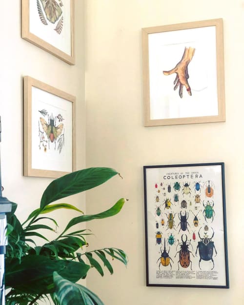 Coleoptera print | Wall Hangings by Kelsey Oseid