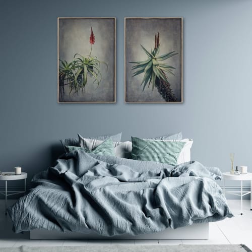 Aloes - Set of 2x 60x90cm prints | Photography by Natascha van Niekerk