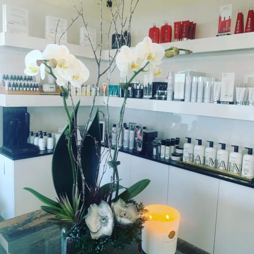 Modern contemporary orchids | Floral Arrangements by Fleurina Designs | Gabriel Santana salon spa in San Jose