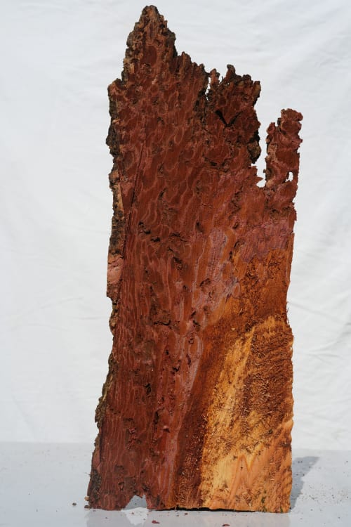 The Tree Tower | Decorative Objects by Raulferc
