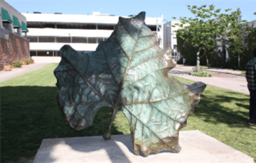 From the Tree | Public Sculptures by KevinBoxStudio. | City of Whittier Public Works in Whittier