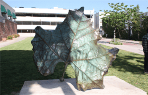 From the Tree | Public Sculptures by KevinBoxStudio | City of Whittier Public Works in Whittier