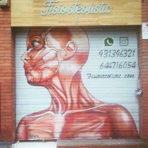 Anatomy | Murals by Berok | Fisiosteolistic in Barcelona