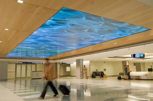 'Migration' Illuminated Ceiling Public Artwork | Wall Treatments by Marcia Stuermer