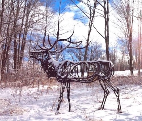 Sugarloaf Calling Elk | Public Sculptures by Wendy Klemperer Art Inc
